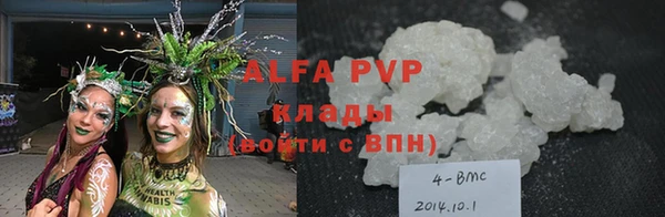 индика Пестово