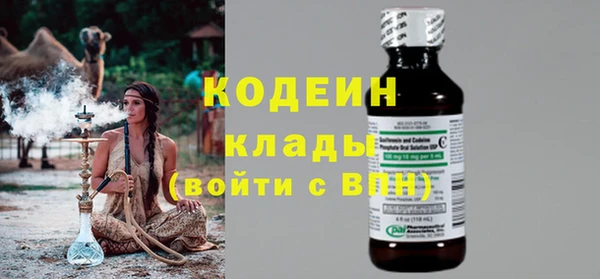 индика Пестово
