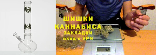 индика Пестово