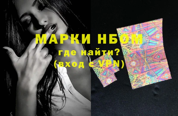 индика Пестово
