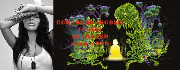 тгк Пересвет