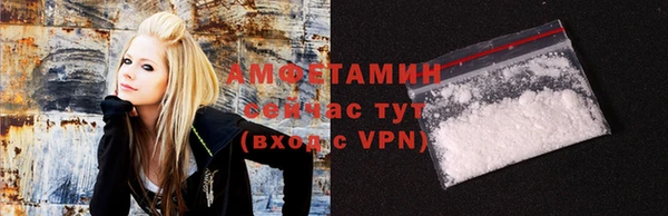 тгк Пересвет