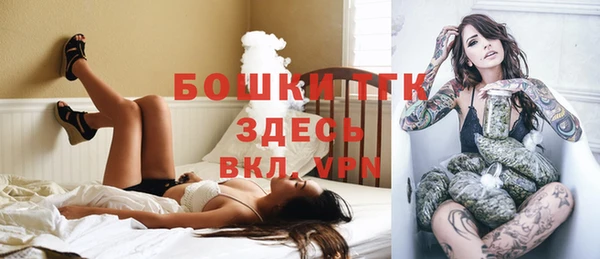 индика Пестово