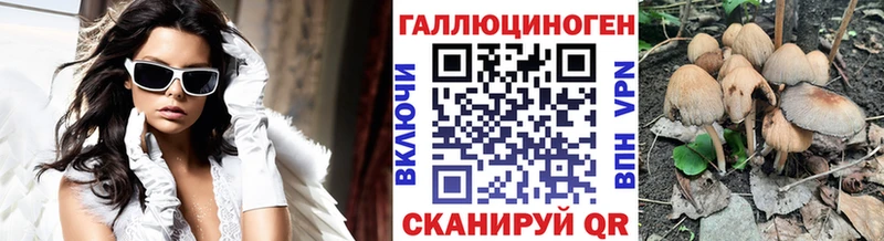 площадка наркотические препараты Райчихинск Галлюциногенные грибы Psilocybe